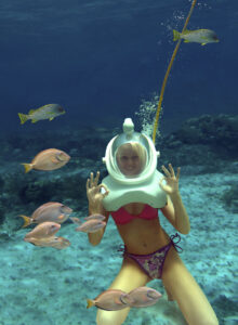 Underwater Walk Seaquarium Punta Cana 2022 Los Haitises National Park 5 in 1 Excursion