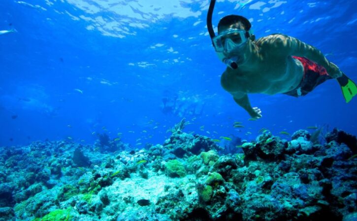 Snorkel Punta Cana Bayahibe