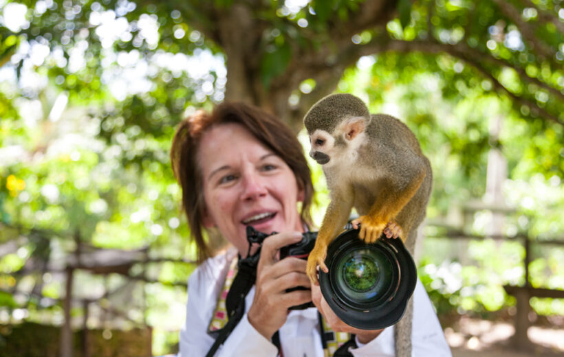 monkey safari dominican republic Monkeyland + Jungle Buggies
