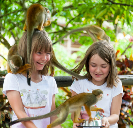 monkey safari dominican republic Monkeyland Adventure Punta Cana