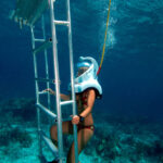 Seaquarium Underwater Adventure Punta Cana 2022