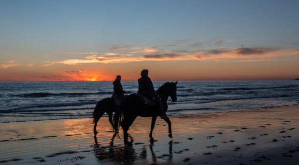 Sunset Horseback Riding Tour Punta Cana