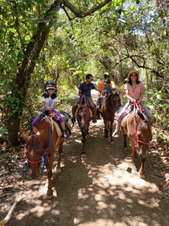 Mountain Horseback Riding Punta Cana