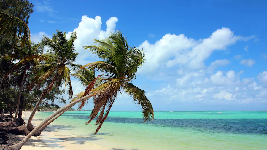 Bavaro beach