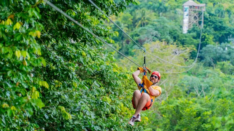 Ziplining Jungle Buggies + Zipline Adventure