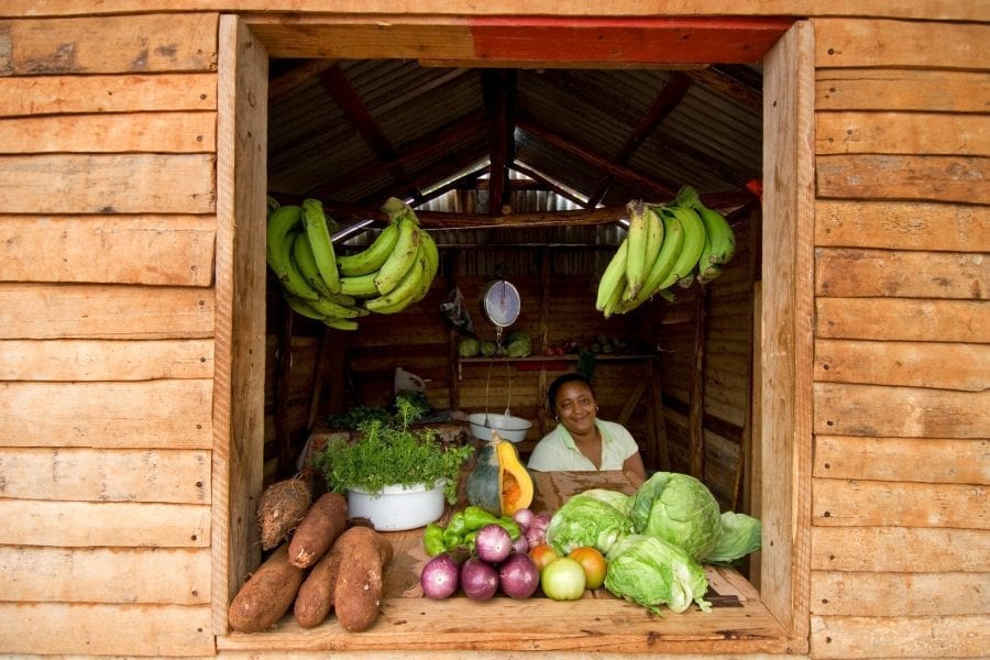 Vegetables-Barahona