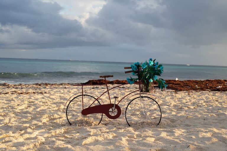 brown bicycle on brown sand near body of water during daytime