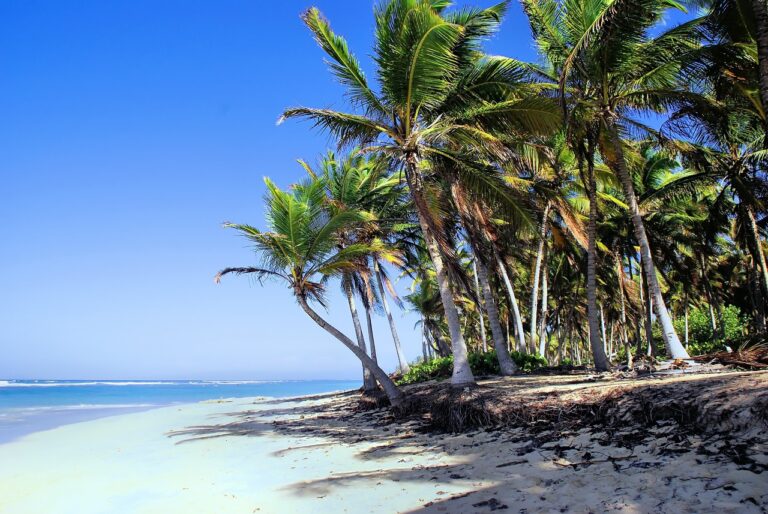 dominican republic, punta-cana, shore, bavaro beach