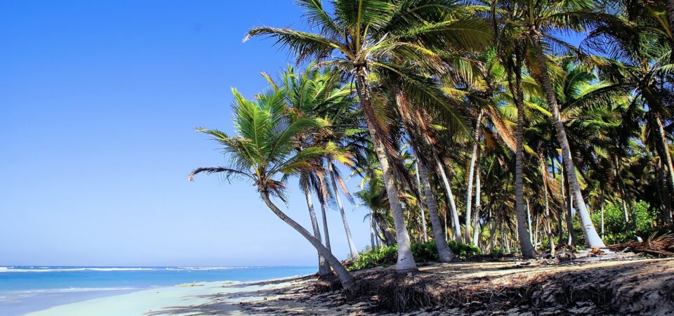 dominican republic, punta-cana, shore, bavaro beach