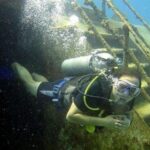 Scuba Diving at Catalina Island Wall