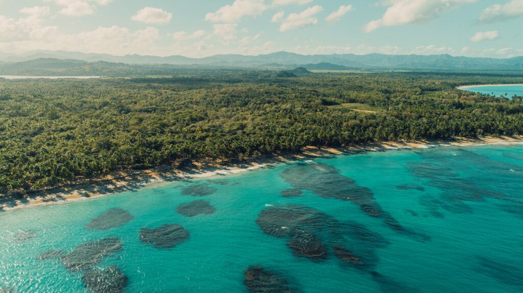 green trees near blue body of water during daytime Miches