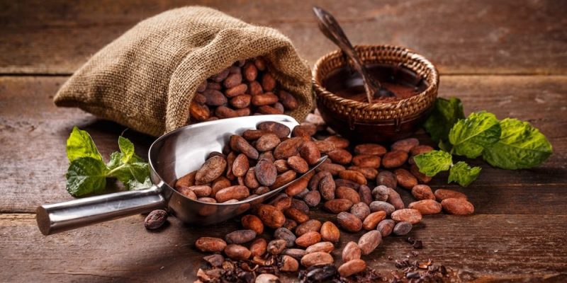 Cacao Seeds