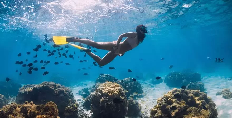 Cabo Rojo Diving