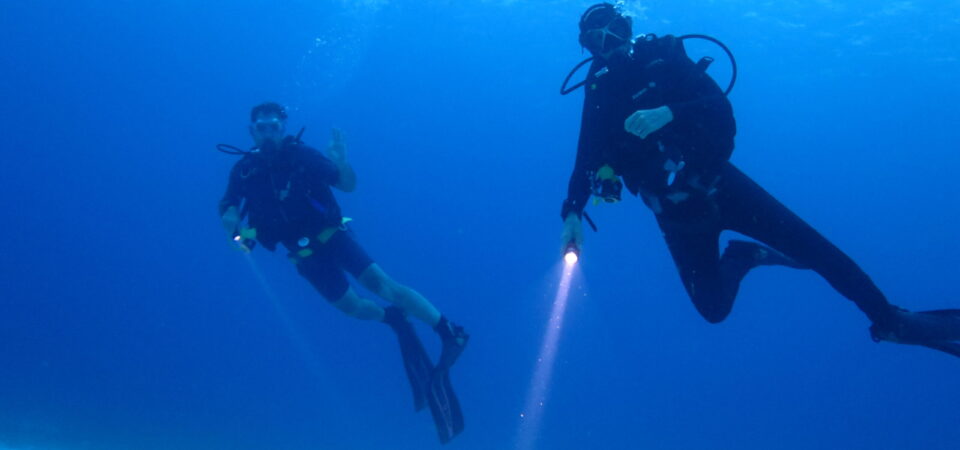 Shore Excursions in Cabo Rojo Diving