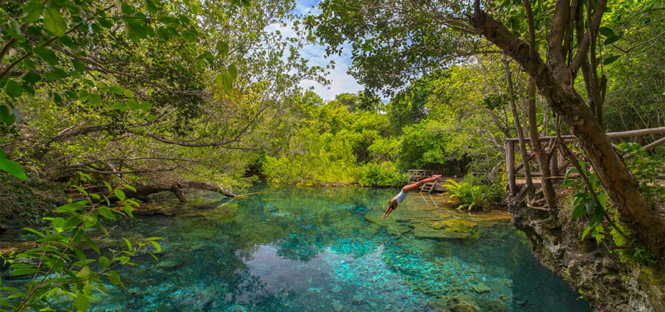 Indigenous Eyes Ecological Park