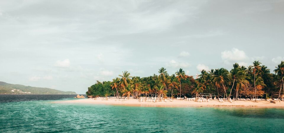 coconut trees near ocean Samana Bayport